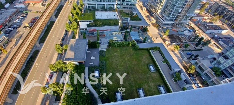 250825224005_hanging garden1.jpg